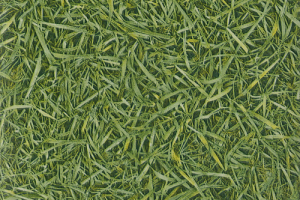 Линолеум IVC Vision Grass T25 фото  | FLOORDEALER